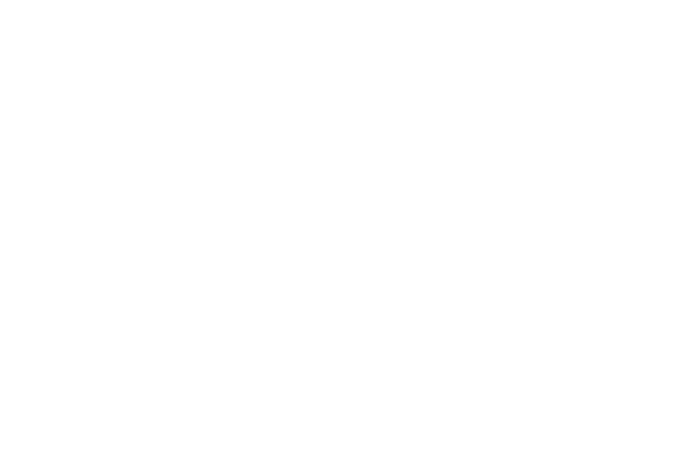 Istituto Nazionale di Fisica Nucleare - INFN